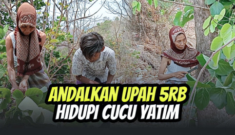 Perjuangan Nenek Penjual Daun Ini Demi Hidupi Cucu Yatim