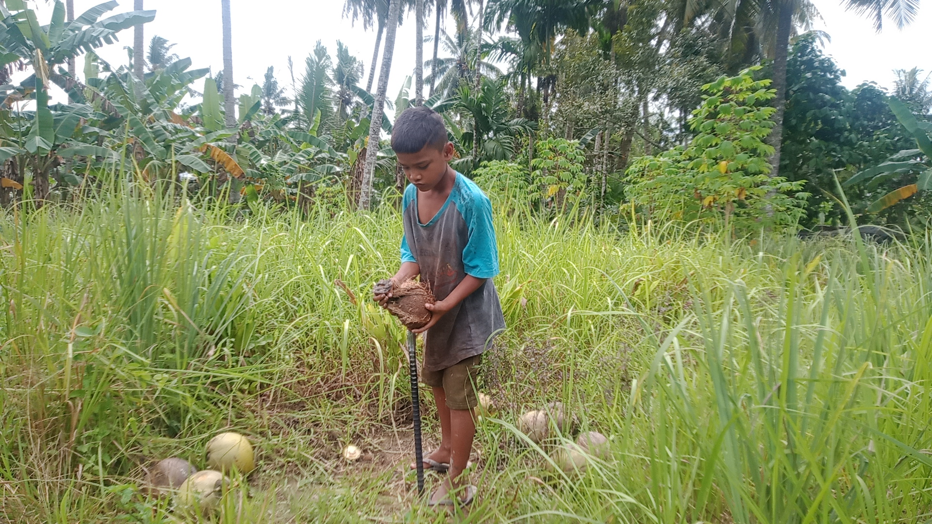 Jadi Pengupas Kelapa, Bantu Perjuangan Fikri Bertahan Hidup