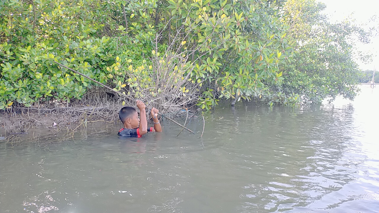 Piatu Ini Cari Kepiting Tuk Makan dan Lanjutkan Sekolah